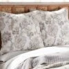 Ophelia Blush Euro Sham Set Of 2 - Levtex Home